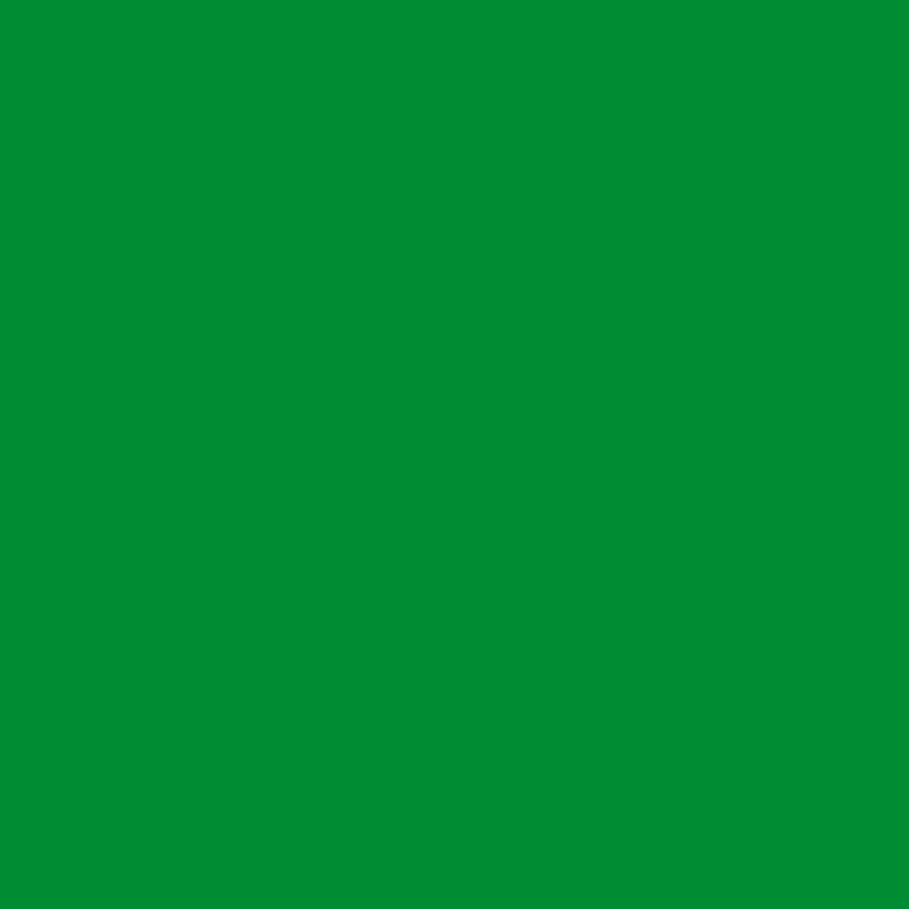 2033-10 Yellow Green – The Decorators Choice Paint Store