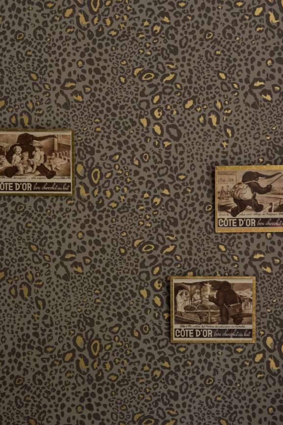 Ocelot Paper
