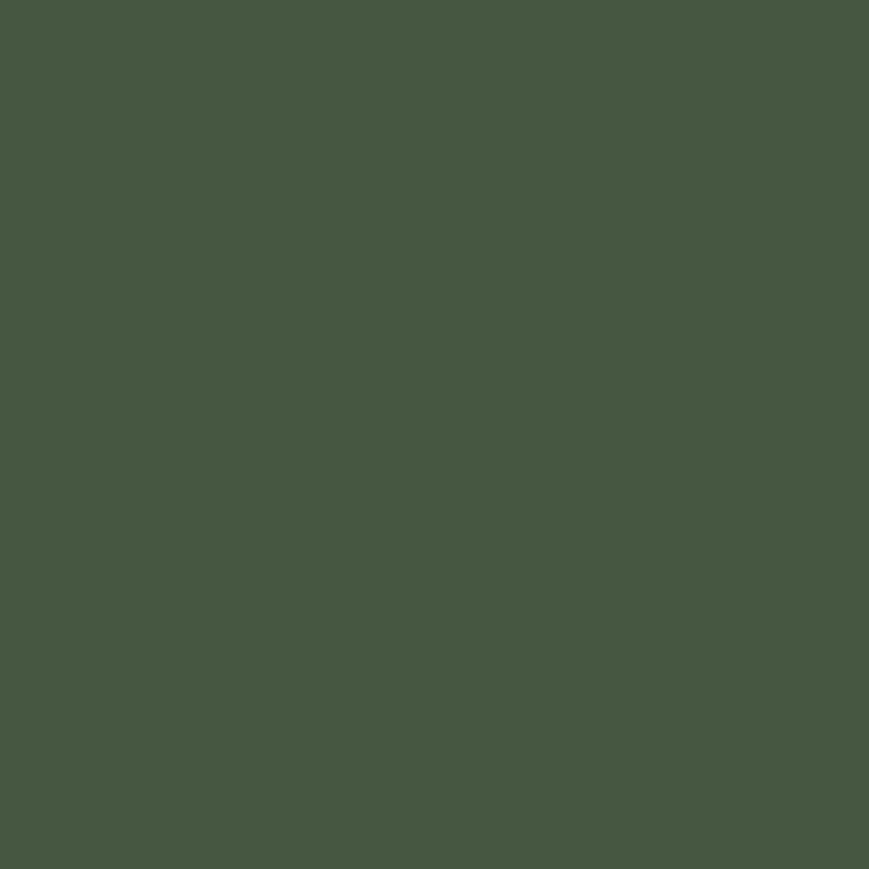 Duck Green No.W55