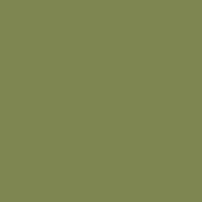 Sap Green No.W56