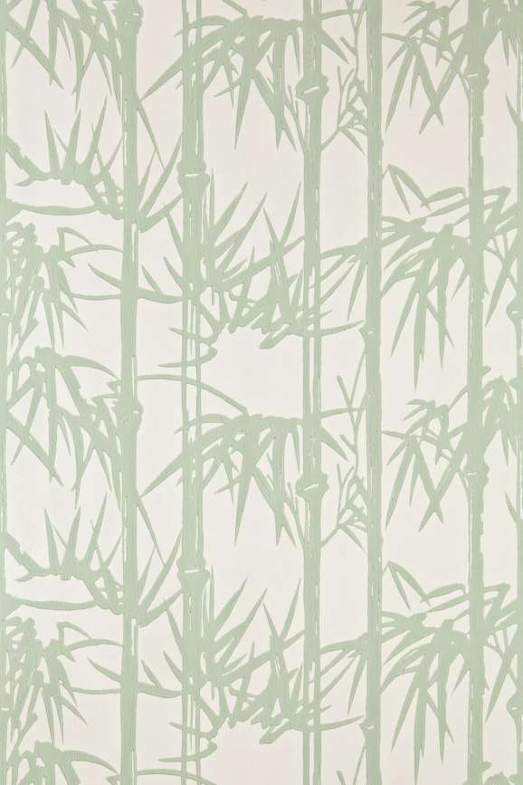 Bamboo Paper